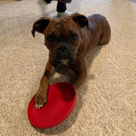 Meet your Posher, Stacy - Picture 6 of 6